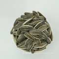 Supply all kinds of hybrid Sunflower seed 5009/3638/3939/1121/363